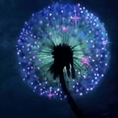 小星星5912头像