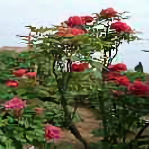 WQZ4436头像