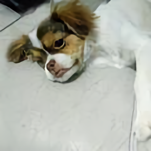 花火大会歌曲动漫剪辑 西瓜视频