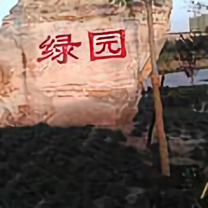 清晨人头像
