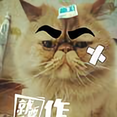 我是菜花儿头像