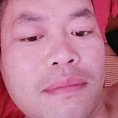 狼的团队鹰的精神头像