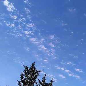 星湖小庄头像