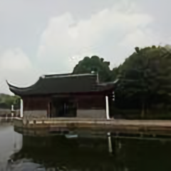 三羊开泰5118头像