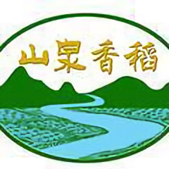 山泉香稻饭友团头像