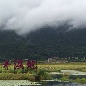 智培头像