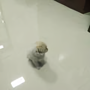 冷暖有度头像