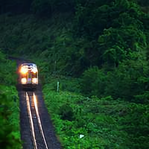 让眼睛去世界旅行头像