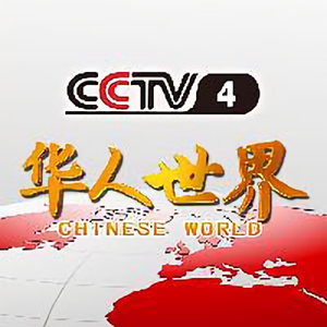 CCTV华人故事头像
