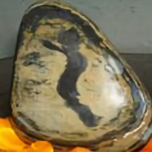 張愛平头像