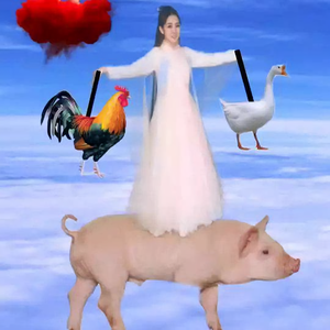 小吴来说事头像