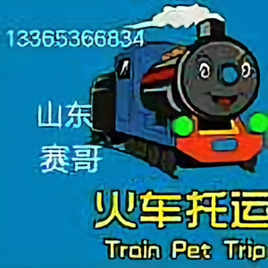 狂风山东潍坊赛哥中铁快运头像