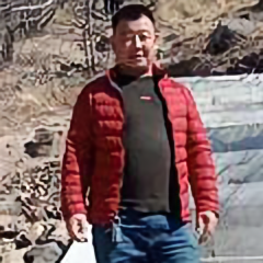 简单V龙头像