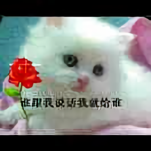 相识是缘76563头像