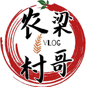 农村梁哥vlog头像