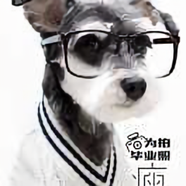 冬梅子361头像