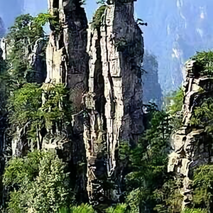 乐观的柳叶VF头像