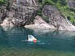 史非头像