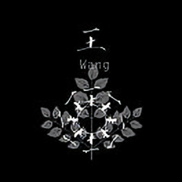 Pen9鹏头像