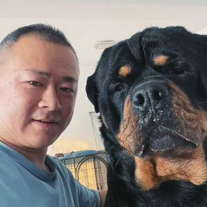老爹小秘书头像