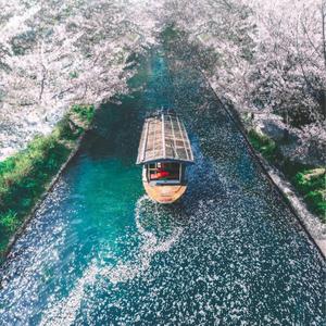 房东说—赵小满日常头像