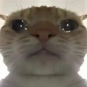 风声一绒pubg头像