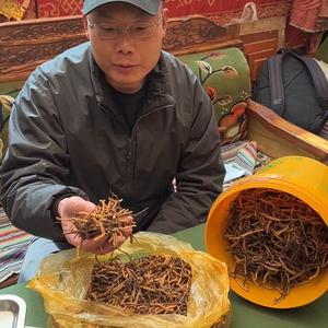 老张在那曲寻好草头像
