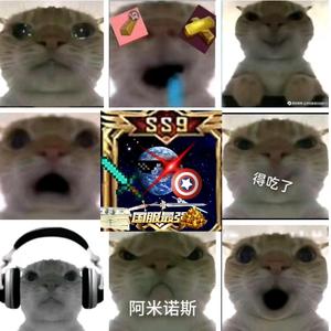 星球鼠鼠头像