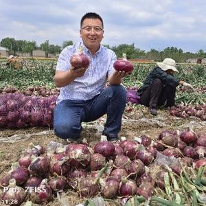 百亩田农业郭建成头像