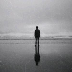 叶少搬砖中 头像