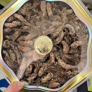 A野生金蝉花 头像