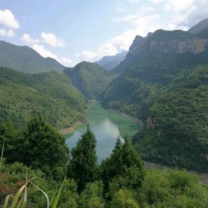 醉染翠山头像