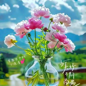 小蓉日常分享头像