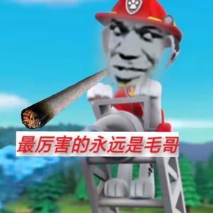 厉害毛哥头像