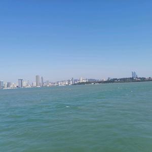 幸运百香果m头像