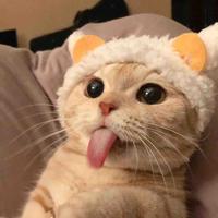 安德鲁666888头像