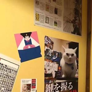 戴痴达头像