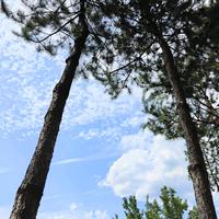 嘴甜的西瓜头像