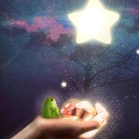 特立独行墨轩一头像