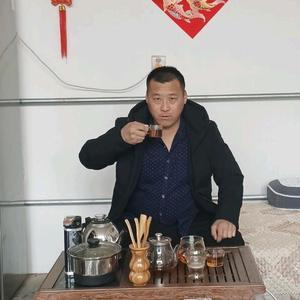 安国市 强大园林 紫叶李头像