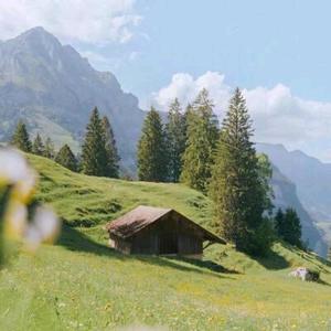 久住我心6f2c 头像