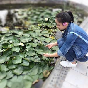 盐都兰妹儿头像
