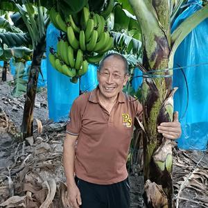 悠闲的老挝慢生活头像