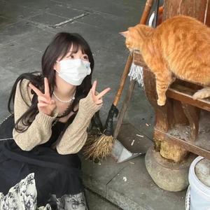 这是派总的一天头像