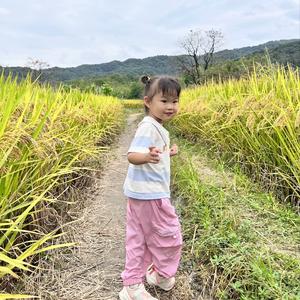棉花糖2号头像