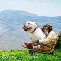 Claire晴头像