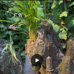 湘姐头像