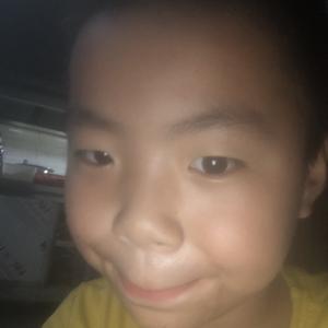 我叫陶陶头像