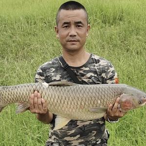 邦哥传统野钓头像