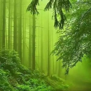 贵州黔西南布依族苗族自治州头像